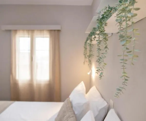 Porto Vidali Daire Agios Ioannis (Tinos)